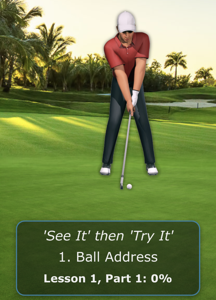 321 SwingTech Golf Swing Builder